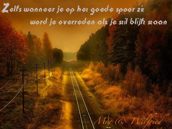 Op het juiste spoor