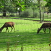 Kopie van wandeling 23.08.2012 061