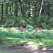 wandeling 23.08.2012 059