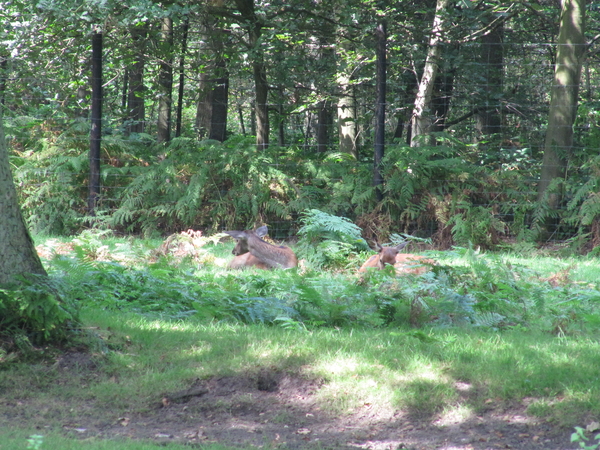 wandeling 23.08.2012 059