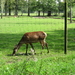 wandeling 23.08.2012 062