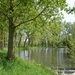 oude scheldearm