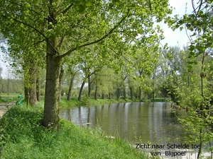 oude scheldearm