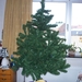 De kerstboom