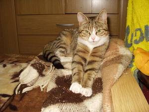 1 mei afbeeldingen 044