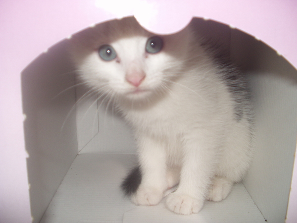 1 mei afbeeldingen 093