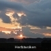 autumn 2002 early evening in NL 4