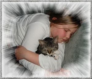 lin poes 3