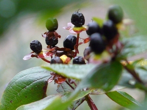 P1040377