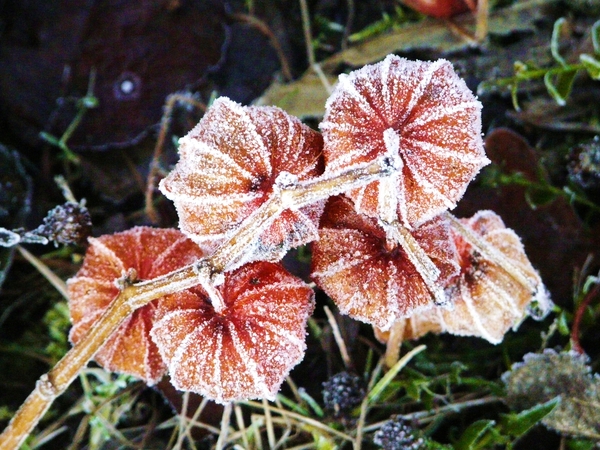 P1040508