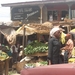 Markt in Benin City