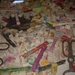 DSCN2079