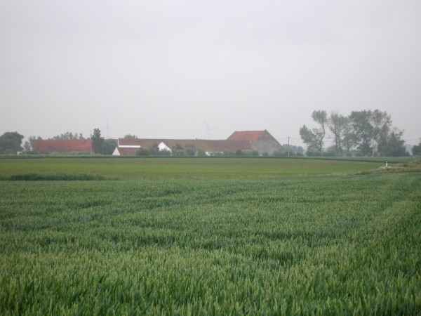 1004_landschap