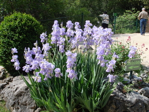 Mei 2008 - Rhone croisi�re 034