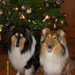 kerst 2008 011