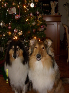 kerst 2008 004