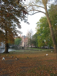 Brugge 11-10-2008 072