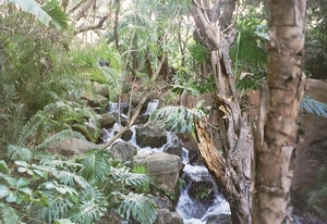 De Cascades in Sun City in de omgeving van de Pilanesgebergte.