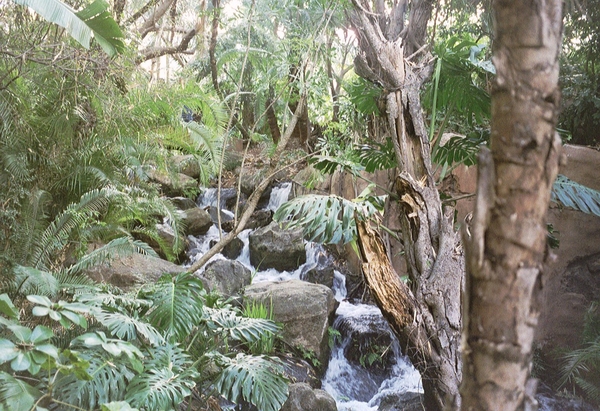 De Cascades in Sun City in de omgeving van de Pilanesgebergte.