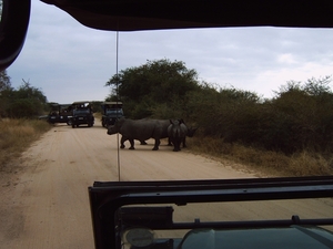 Krugerpark