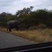 Krugerpark