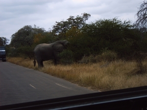 Krugerpark