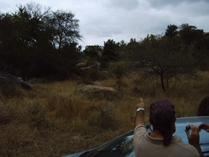 Krugerpark