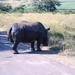 Hluhluwe-Umfolozi natuurpark