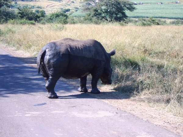 Hluhluwe-Umfolozi natuurpark