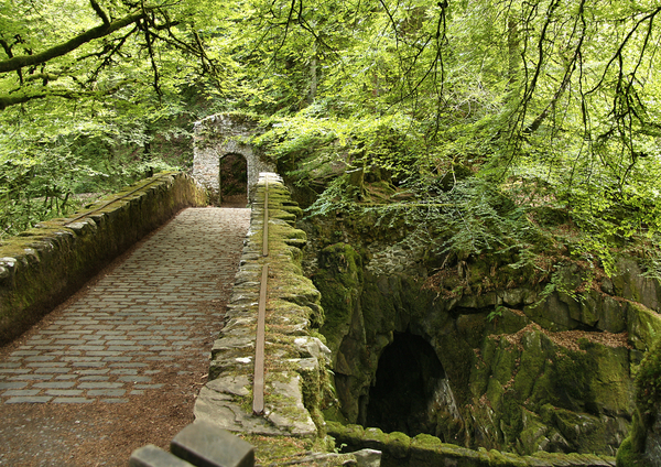 waterval en mossen