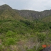 DSC01397