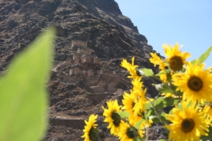 Inca ruins
