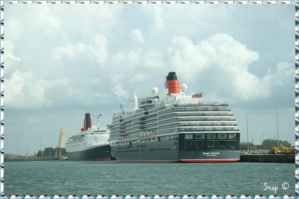 MS Queen Victoria (100)