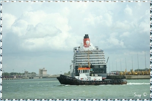 MS Queen Victoria (101)