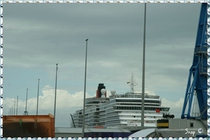 MS Queen Victoria (13)