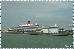 MS Queen Victoria (39)