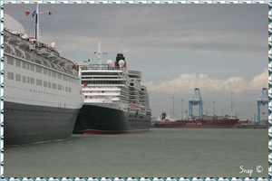 MS Queen Victoria (4)