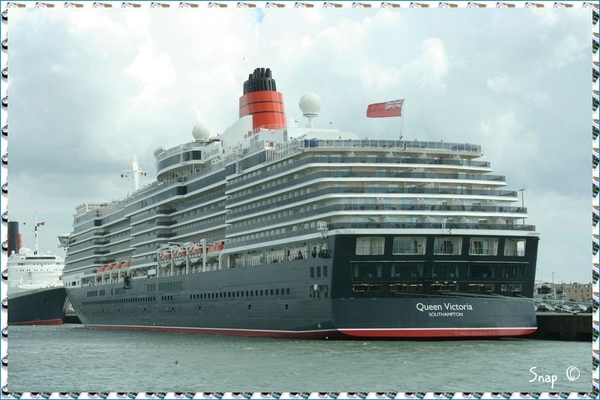 MS Queen Victoria (50)