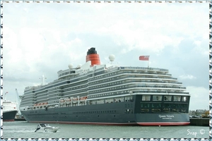 MS Queen Victoria (51)