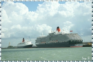 MS Queen Victoria (99)