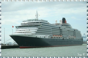 MS Queen Victoria(81)