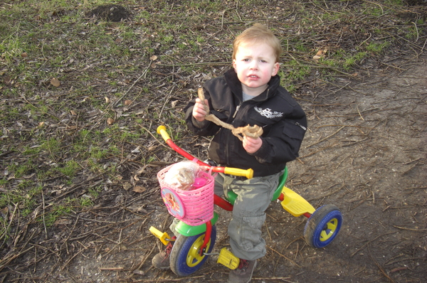 29 jan 2009