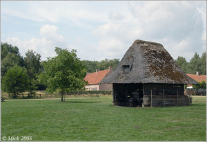 Wagenhut