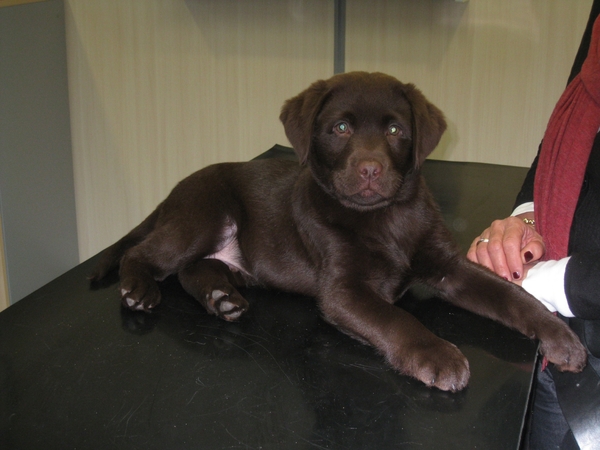 Ik lig hier niet slecht