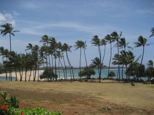 Hawai 2007 002