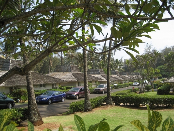 Hawai 2007 009