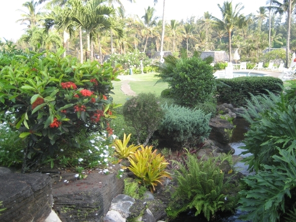 Hawai 2007 013