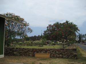 Hawai 2007 055