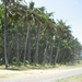 Hawai 2007 097