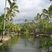 Hawai 2007 107